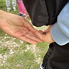2025-09-23--az-elet-es-a-termeszet-vedelme-54