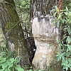 2025-09-23--az-elet-es-a-termeszet-vedelme-97