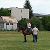 2026-06-01-gyereknap-95