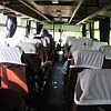 2010-06-18-kirandulas-parkany-18