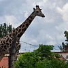 2022-06-09-alsosok-budapest-224
