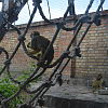 2022-06-09-alsosok-budapest-40